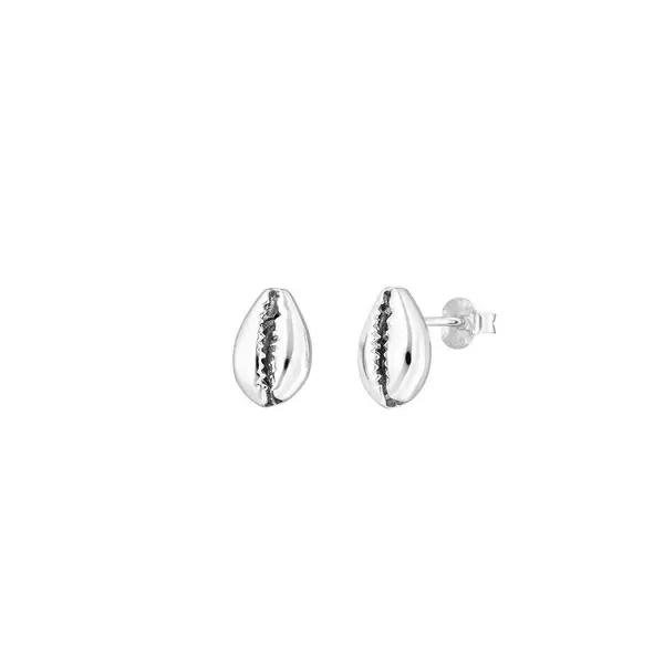 Leaf Jewelry Ohrstecker Cowrie Shell, 925 Sterlingsilber Letzter Tag