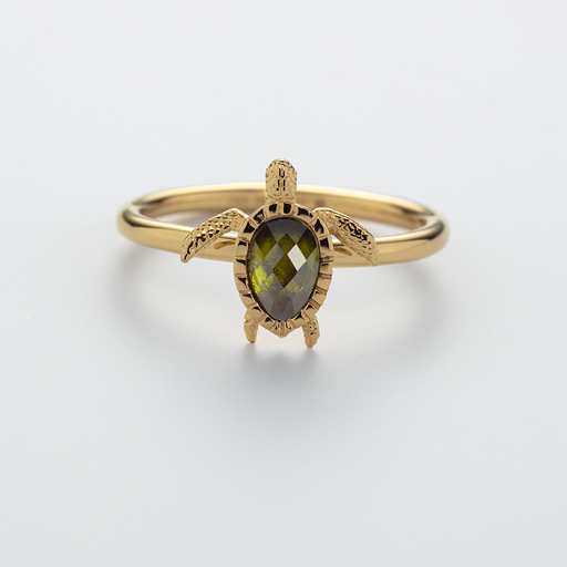 ﻿Paul Hewitt Turtle Ring Gold Bis zu 55% Rabatt