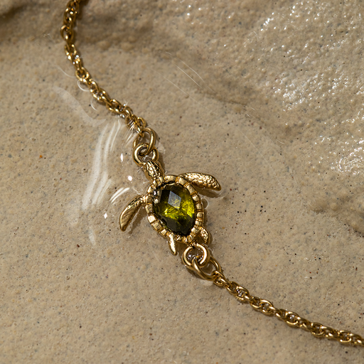 Paul Hewitt Turtle Mono Armkette Gold Riesige Rabatte
