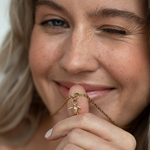 Paul Hewitt Turtle Charm Gold Osterangebot