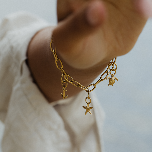 Paul Hewitt Turtle Charm Gold Osterangebot
