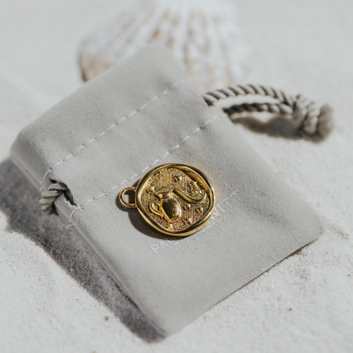 Paul Hewitt Aquarius Charm Gold Sonderangebot