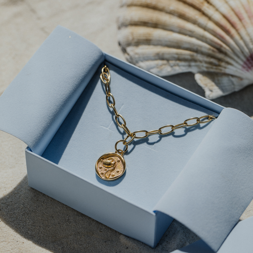 Paul Hewitt Aquarius Charm Gold Sonderangebot