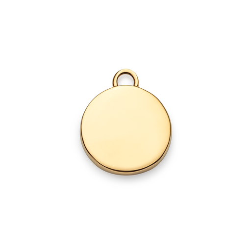 Paul Hewitt Aquarius Charm Gold Sonderangebot