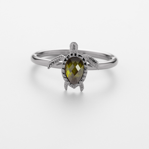 Paul Hewitt Turtle Ring Silber Top Angebot