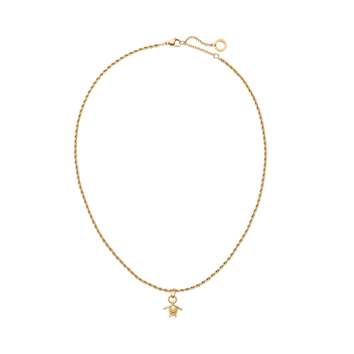 Paul Hewitt Set Turtle Charm und Halskette Gold Bis zu 50% Rabatt