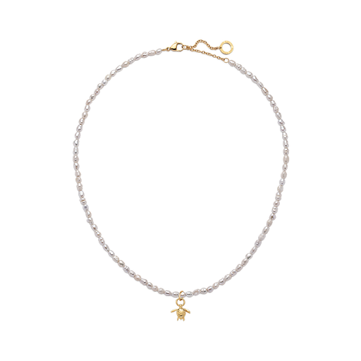 Paul Hewitt Set Turtle Charm und Halskette Gold Bis zu 50% Rabatt