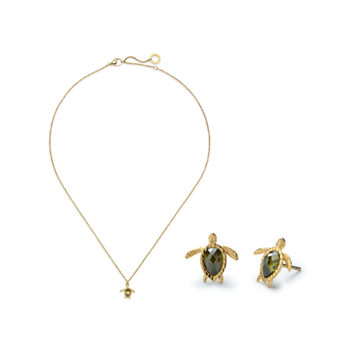 Paul Hewitt Set Turtle III Gold 50% Rabatt für begrenzte Zeit