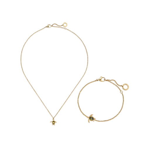 Paul Hewitt Set Turtle IV Gold Rabatte dieses Monats