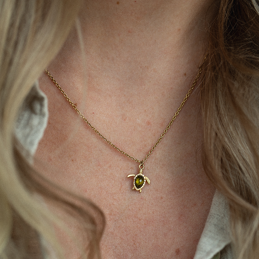 Paul Hewitt Set Turtle IV Gold Rabatte dieses Monats