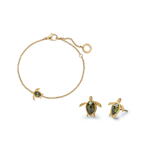 Paul Hewitt Set Turtle V Gold 2025