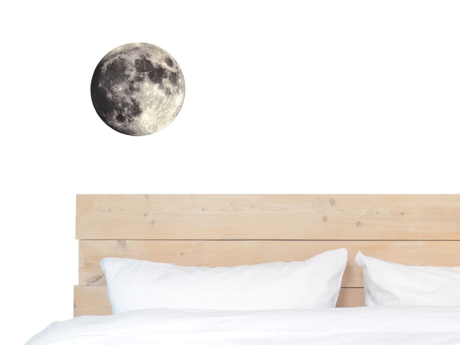 Renna Deluxe MOND Bild auf Holz Im Verkauf