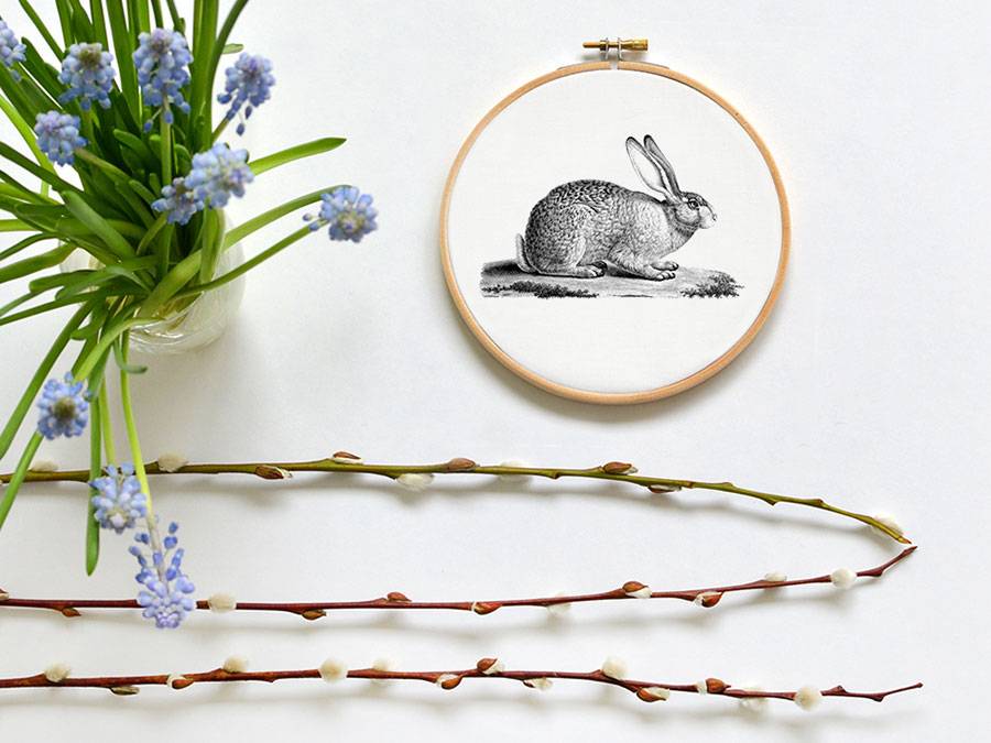 Renna Deluxe Hase _ Bild im Stickrahmen Exklusivangebot