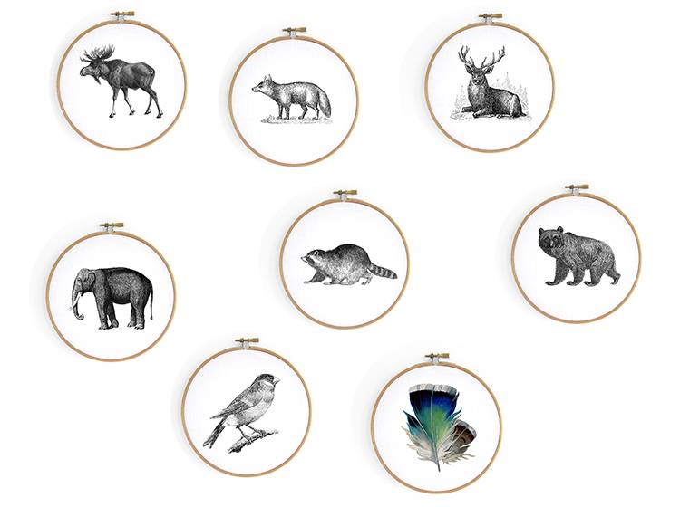 Renna Deluxe Hase _ Bild im Stickrahmen Exklusivangebot