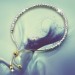 Silberdream SilberDream Armband Perlen diamantiert 925er Sterling Silber Damen SDA7004T Meist gekauft