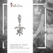 Silberdream SilberDream 925 Charm Seeschildkröte Armband Anhänger FC1002 Saisonale Angebote