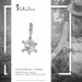 Silberdream SilberDream 925 Charm Schildkröte Armband Anhänger FC1001 Neueste Stile