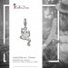 Silberdream SilberDream Glitzer Charm Frosch weiß Zirkonia Kristalle 925er GSC521W Meist gekauft