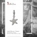 Silberdream SilberDream Charm Seestern Zirkonia 925 Silber Armband Anhänger FC730W Großer Ausverkauf